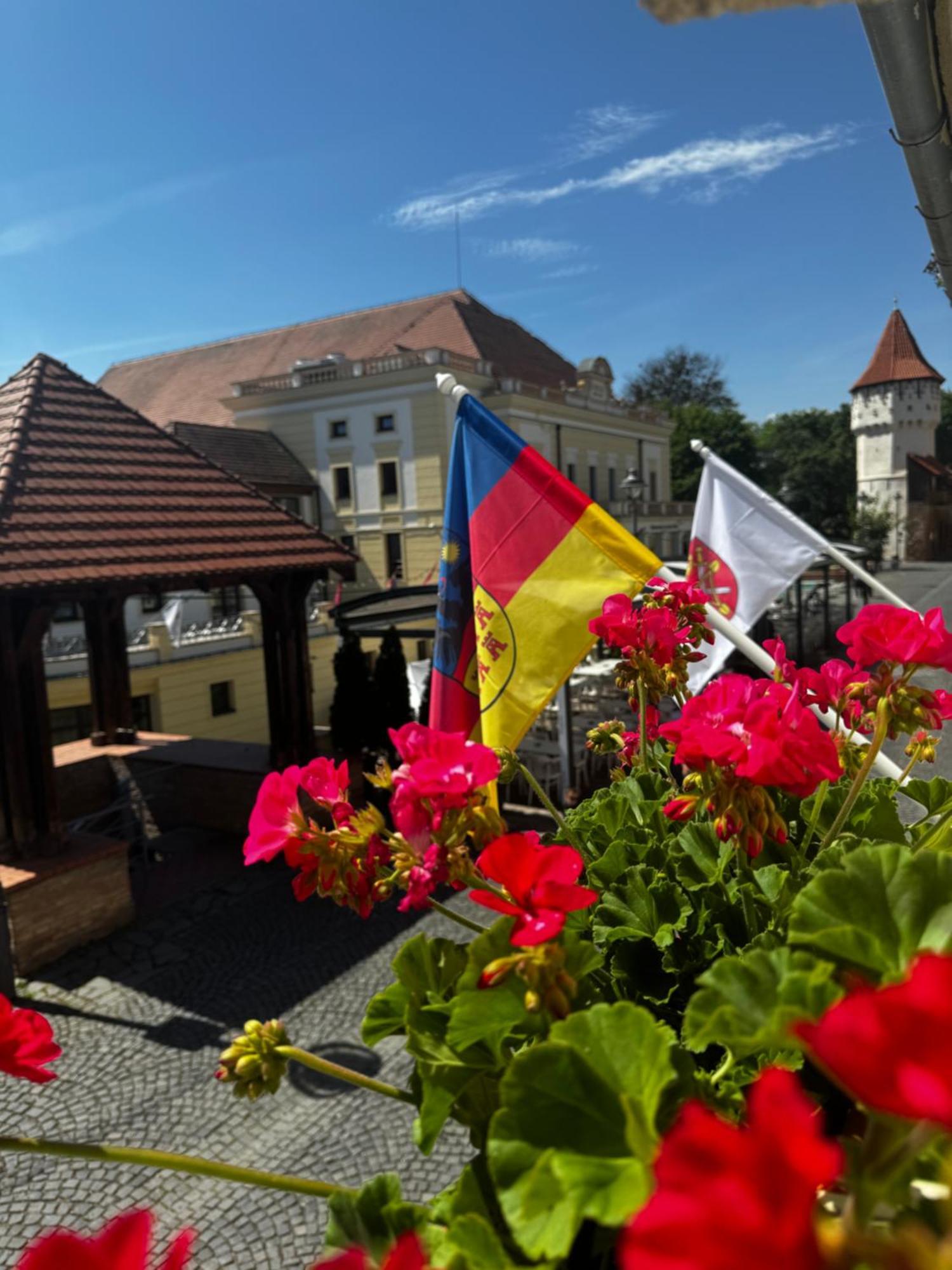 Harteneck Apartments Sibiu Ngoại thất bức ảnh
